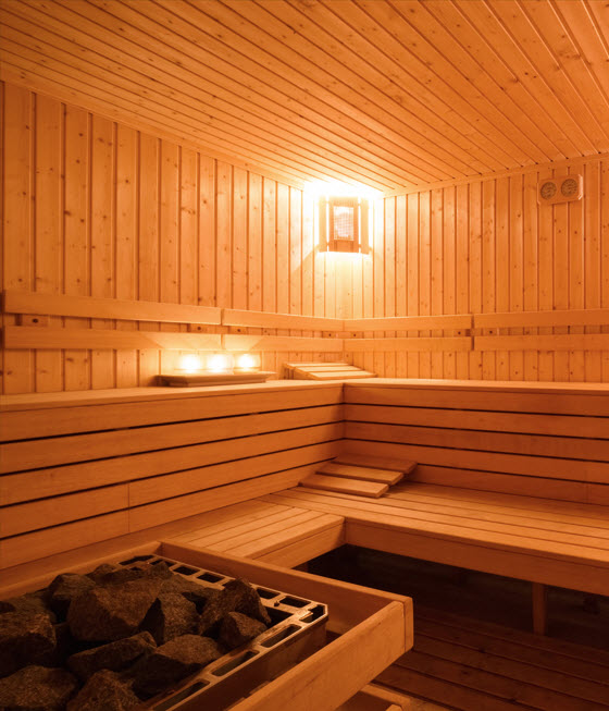 Sauna repair services